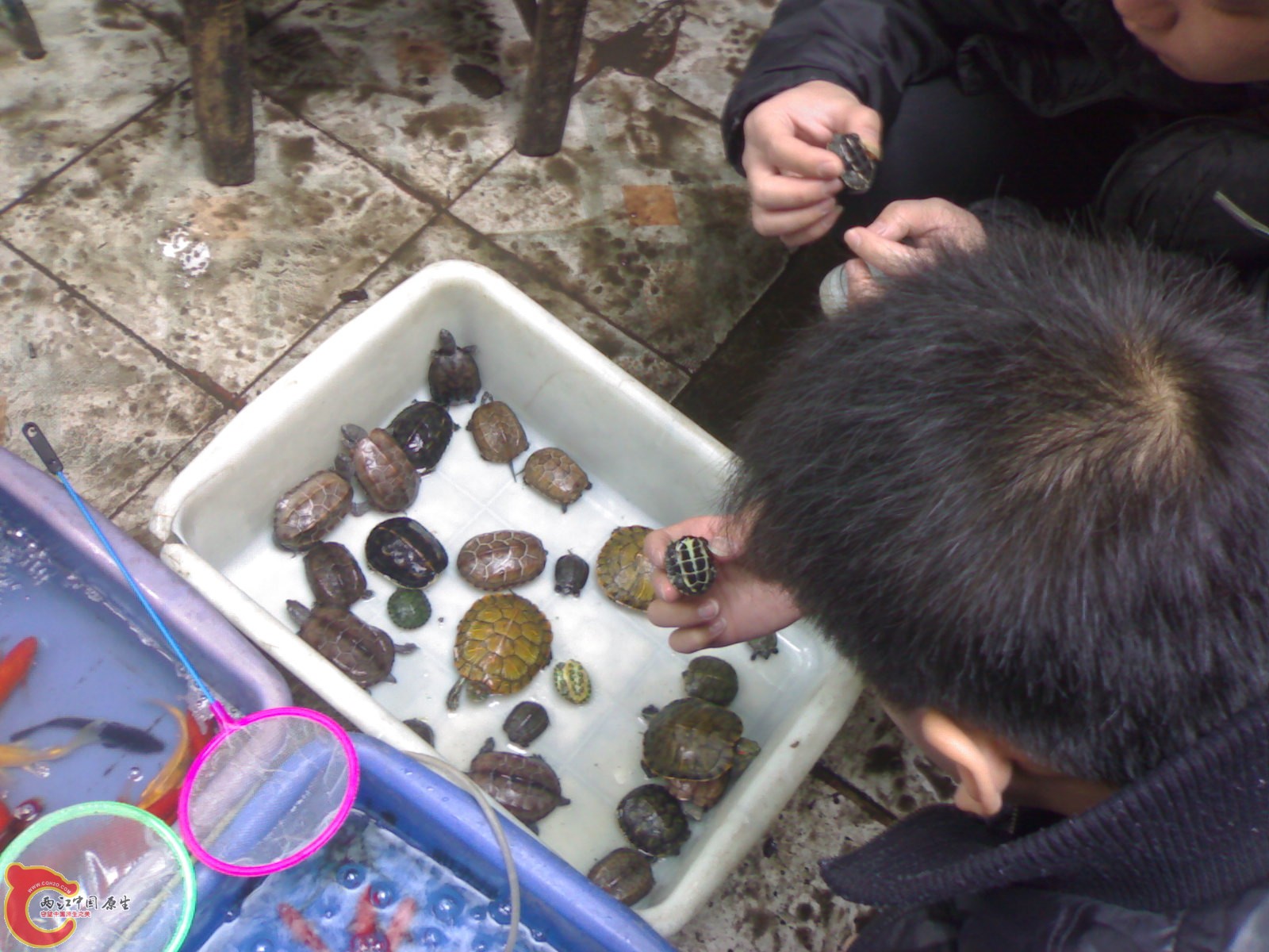 201103192135.jpg