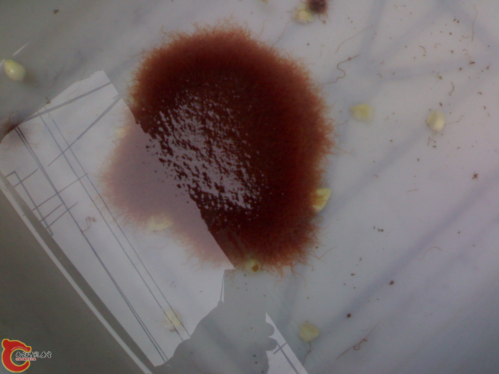 201103192141.jpg
