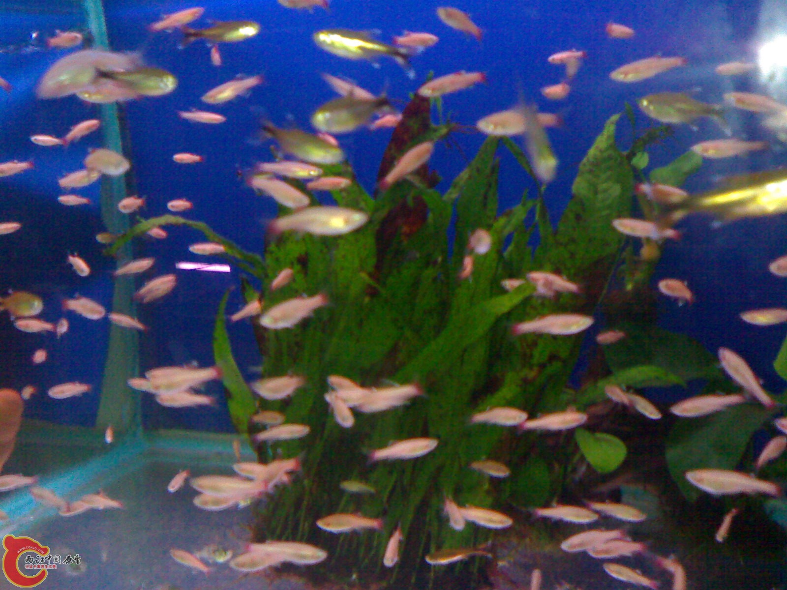 201103192149.jpg