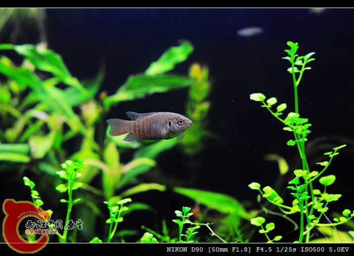DSC_0216.jpg