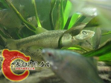 复件 照片 034.jpg