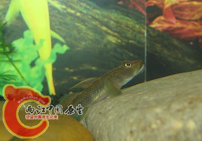 img_0159_副本.jpg