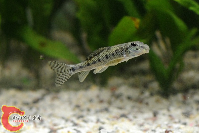 DSC_3203.jpg