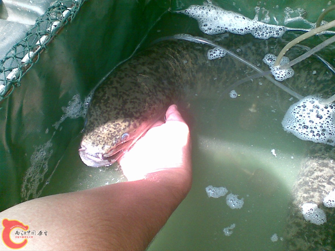 20100907(006).jpg