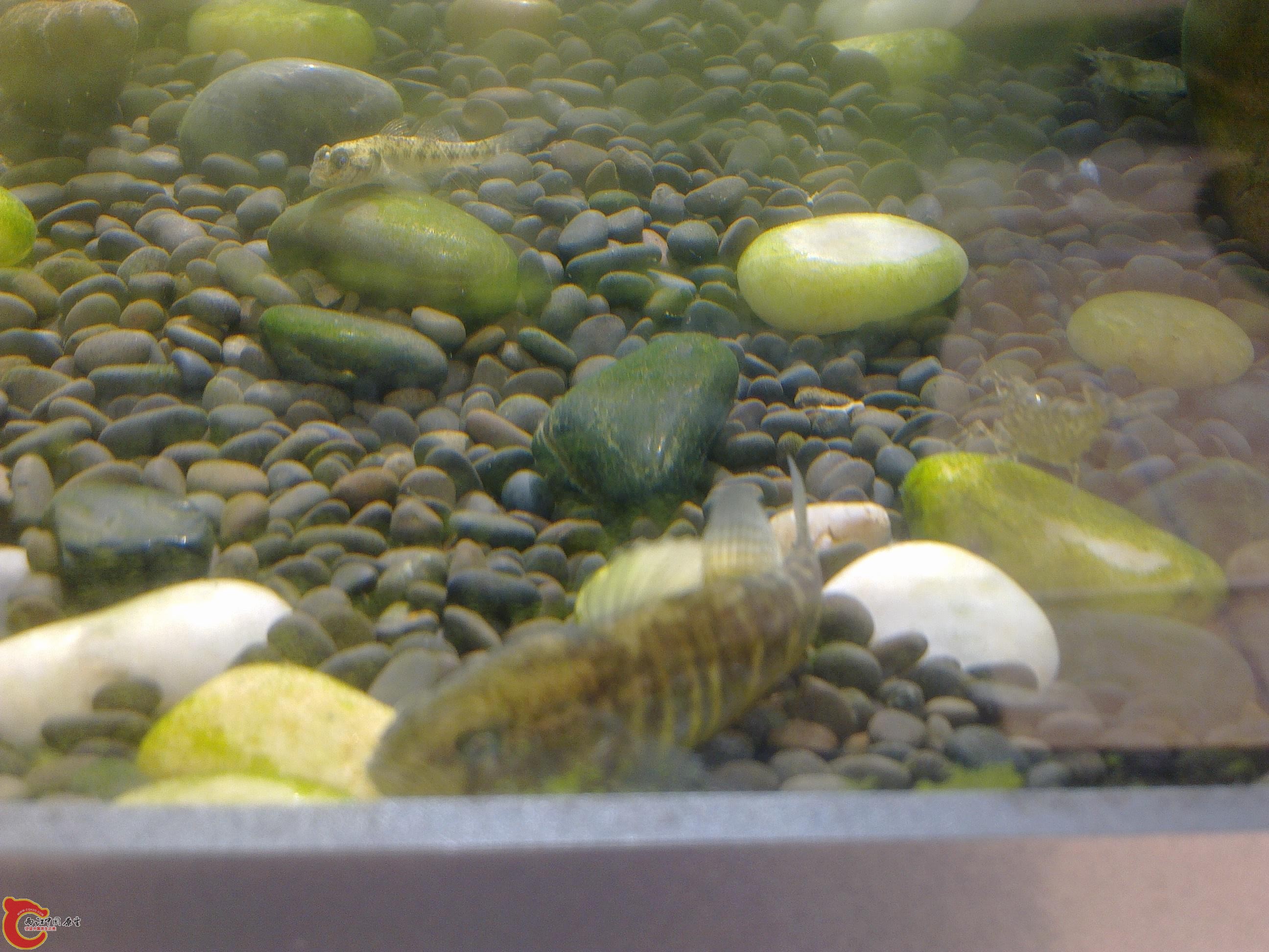 20110404148.jpg