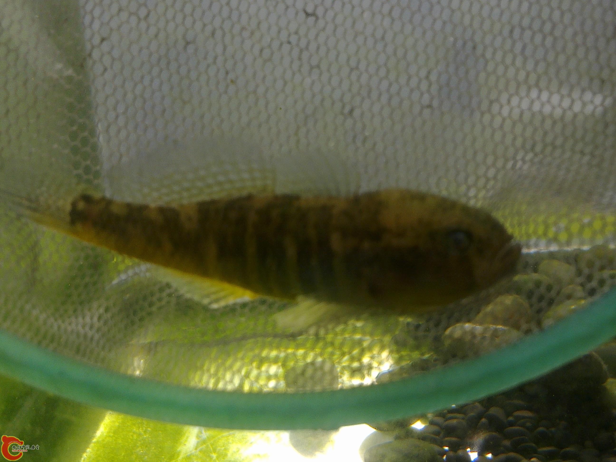 20110404150.jpg