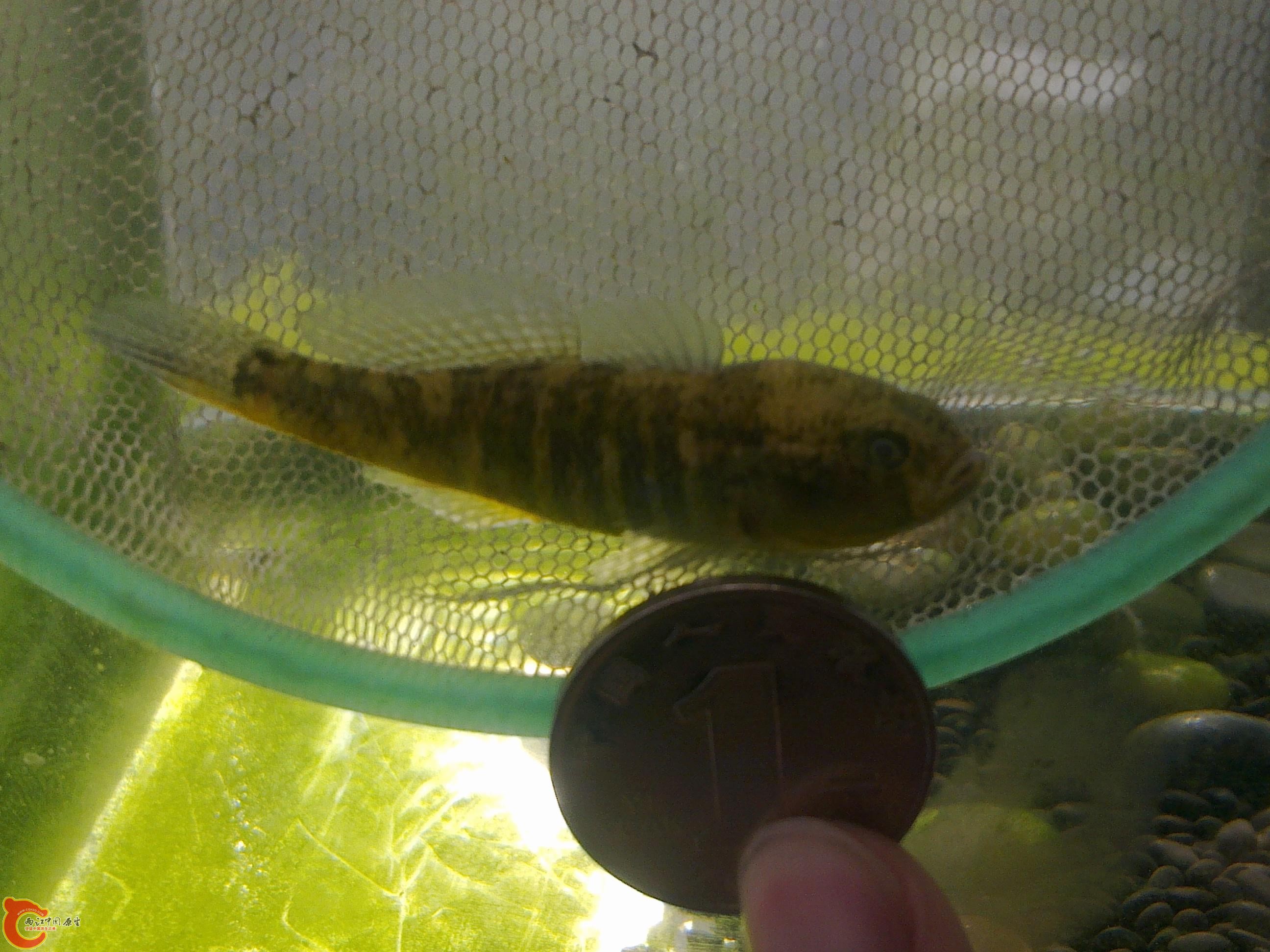 20110404151.jpg
