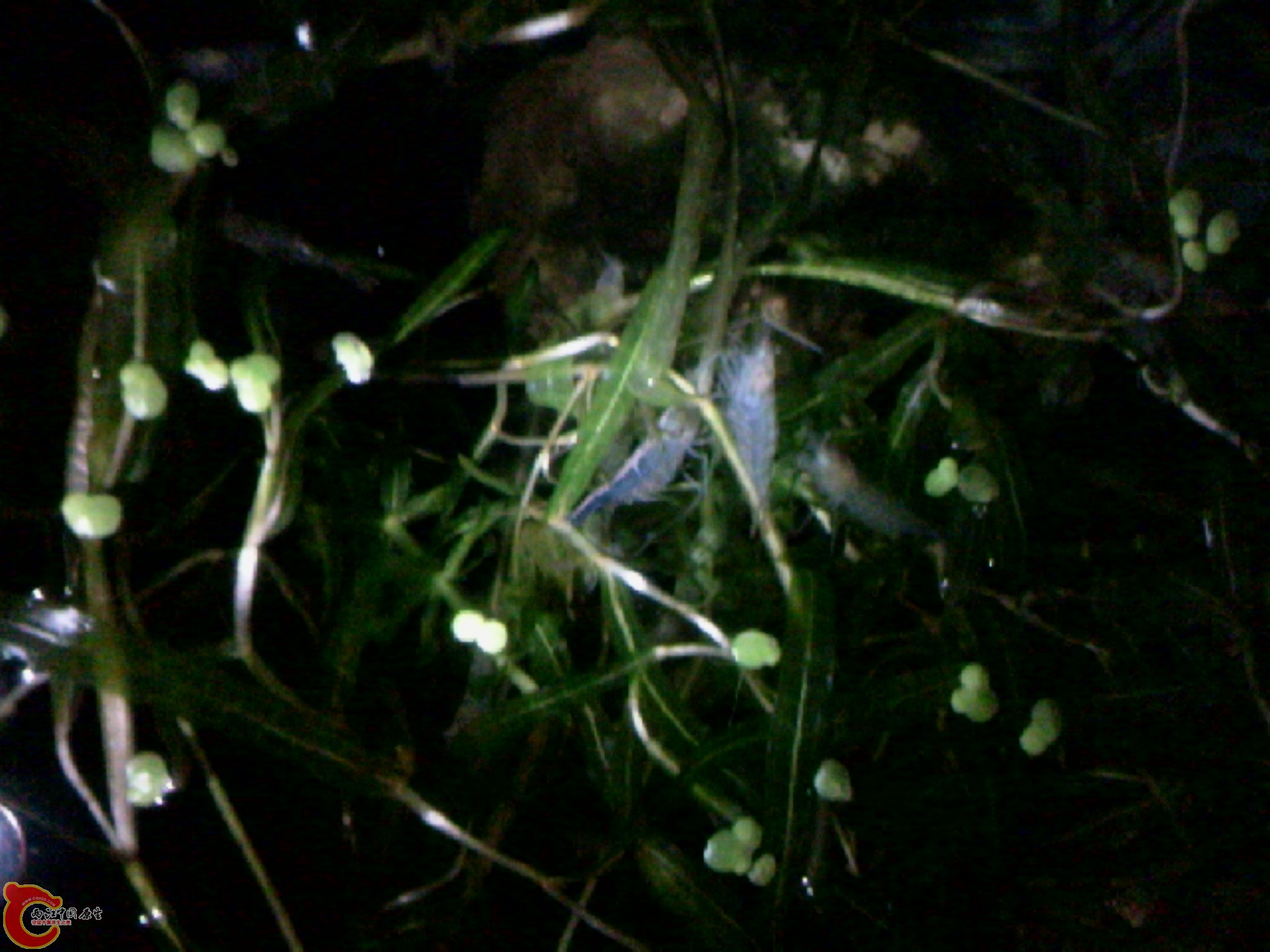 110406A003.jpg