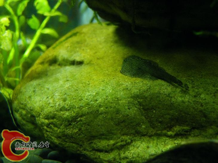 DSCF5853.JPG