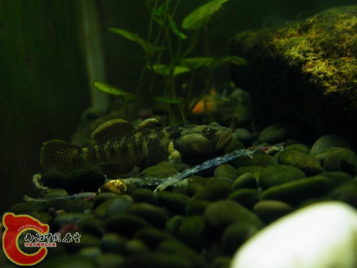 DSCF5862.JPG