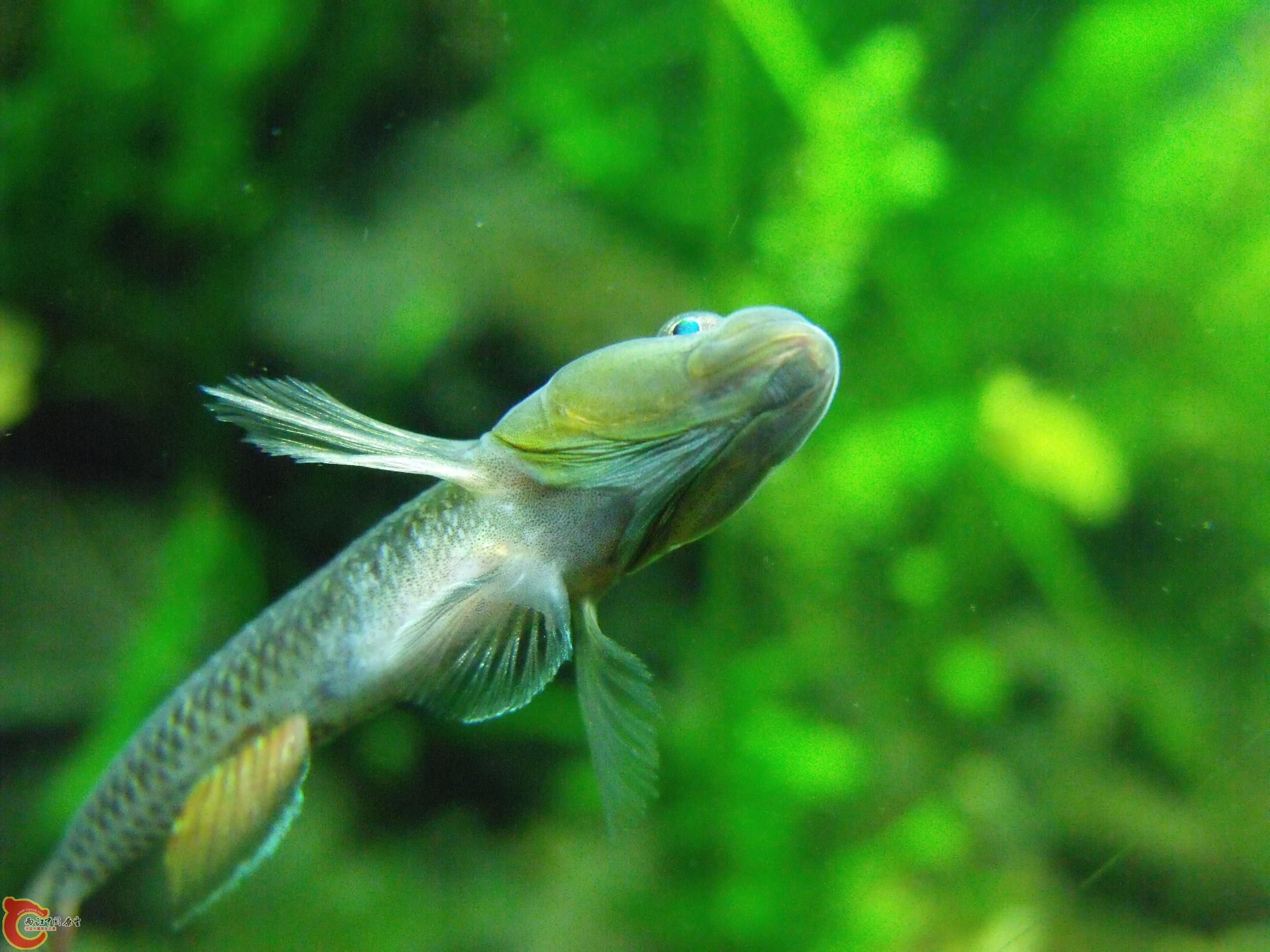 DSCF4058.JPG