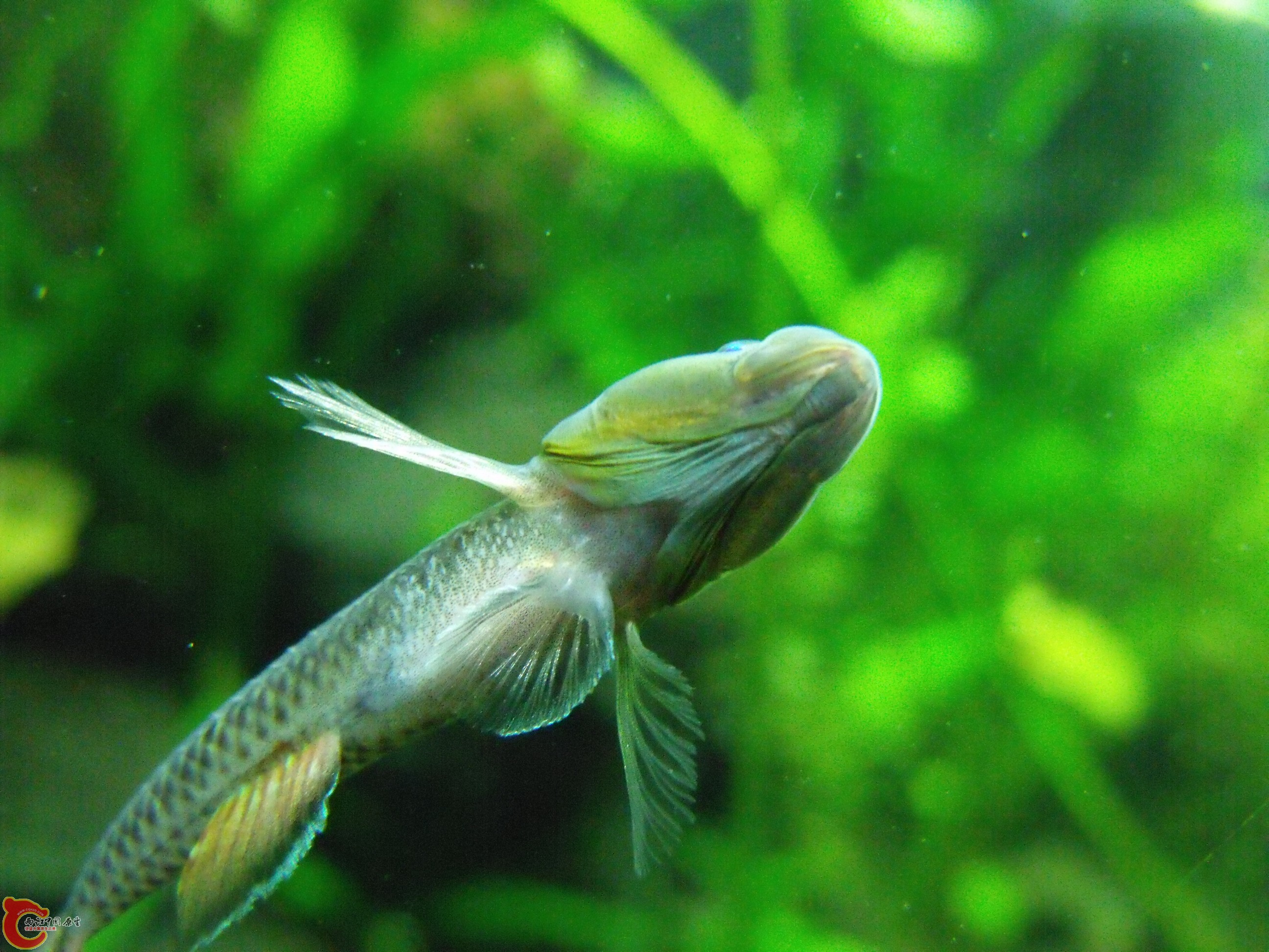 DSCF4059.JPG