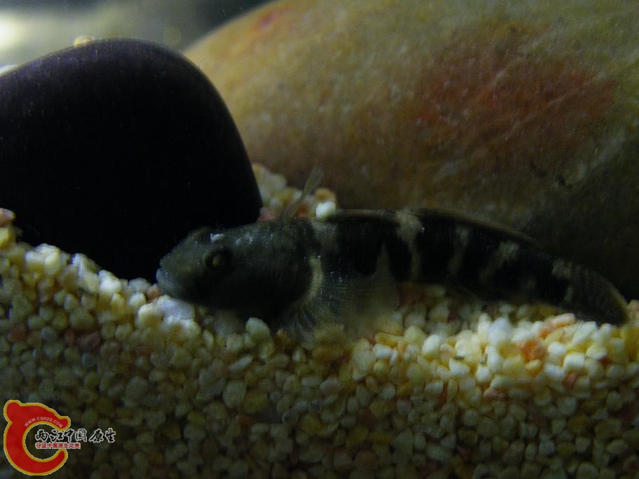 DSCF5870.JPG