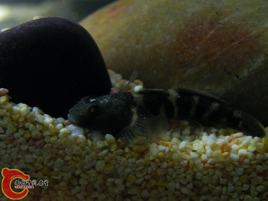 DSCF5871.JPG