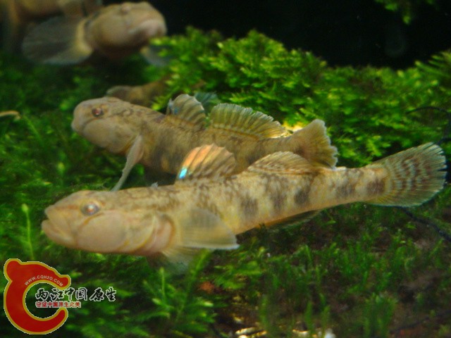 DSC05902.JPG