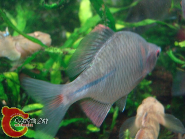 DSC05903.JPG