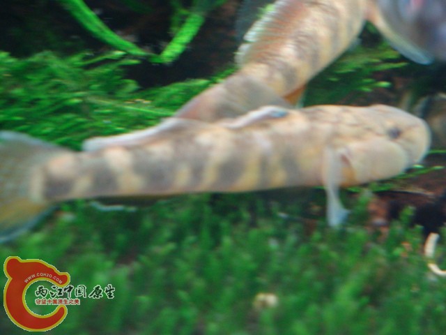 DSC05904.JPG