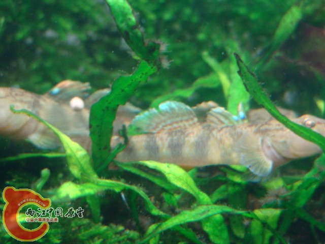 DSC05912.JPG