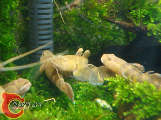 DSC05911.JPG