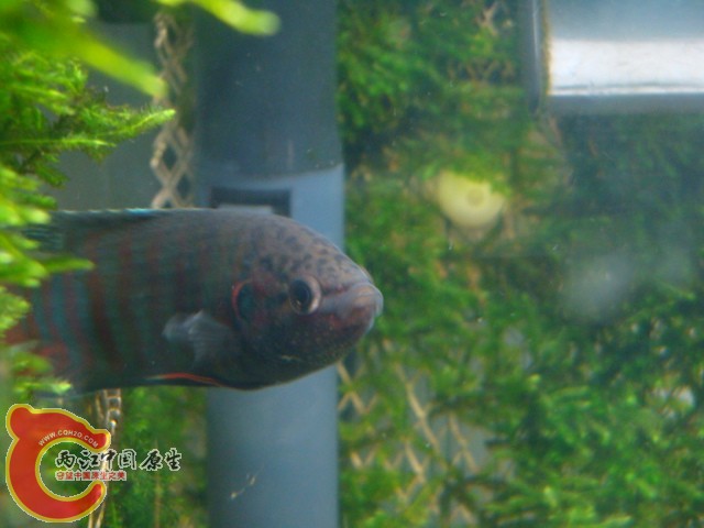 DSC05917.JPG