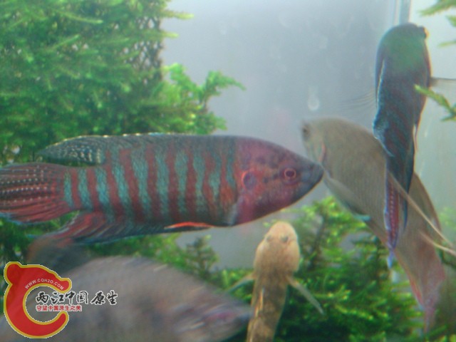 DSC05918.JPG