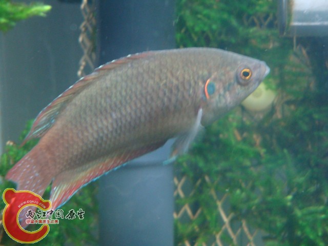 DSC05924.JPG