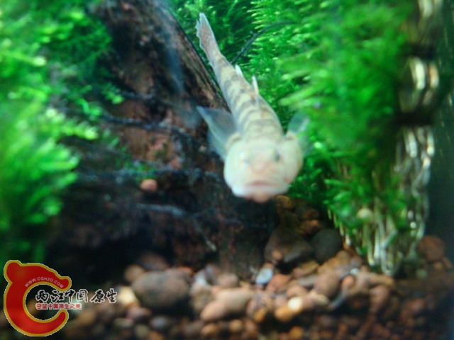 DSC05925.JPG