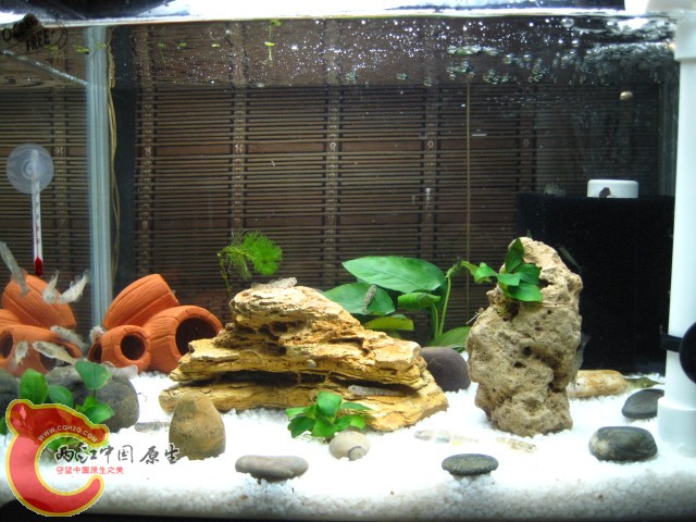 照片 034.jpg