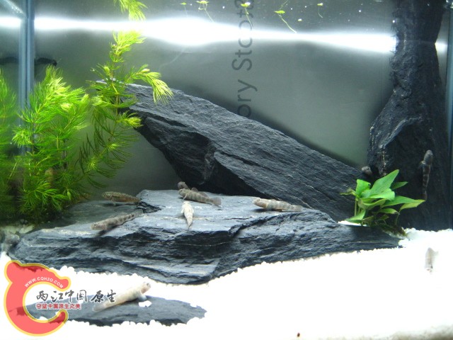 照片 033.jpg