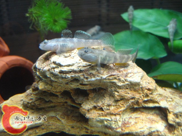 照片 035.jpg