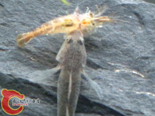 照片 044.jpg