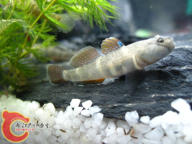 照片 048.jpg