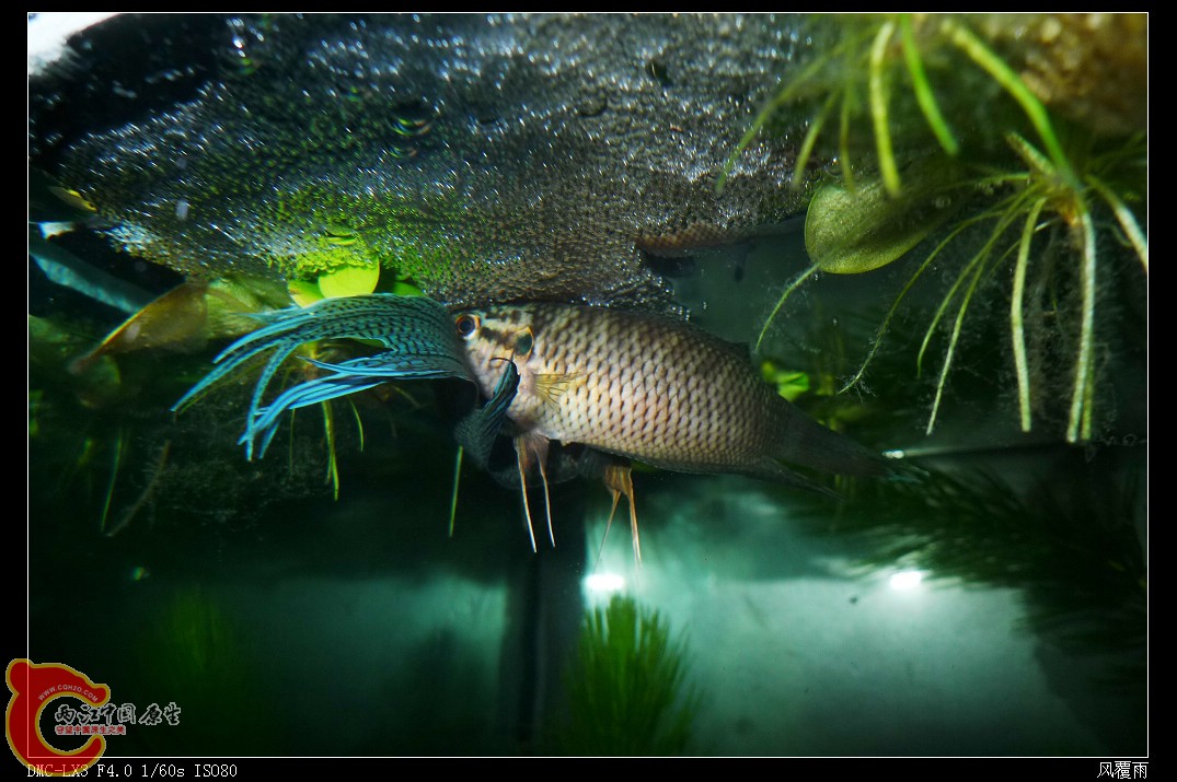 P1070956_nEO_IMG.jpg