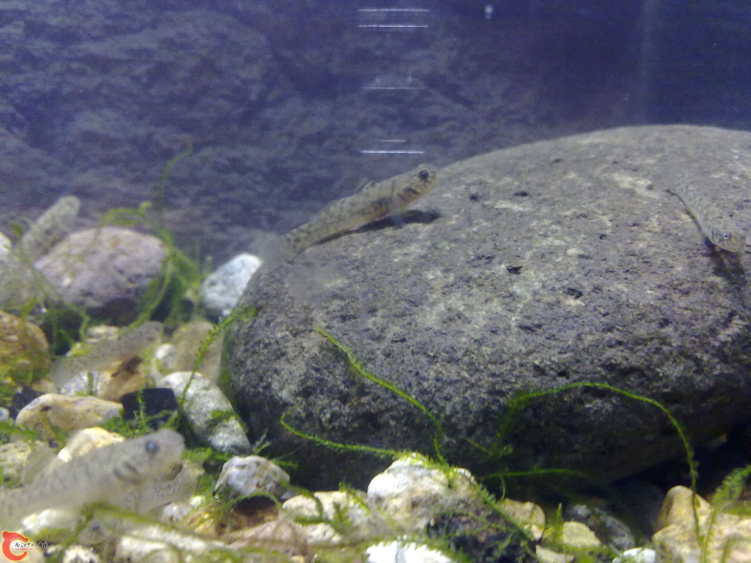 20110422138.jpg
