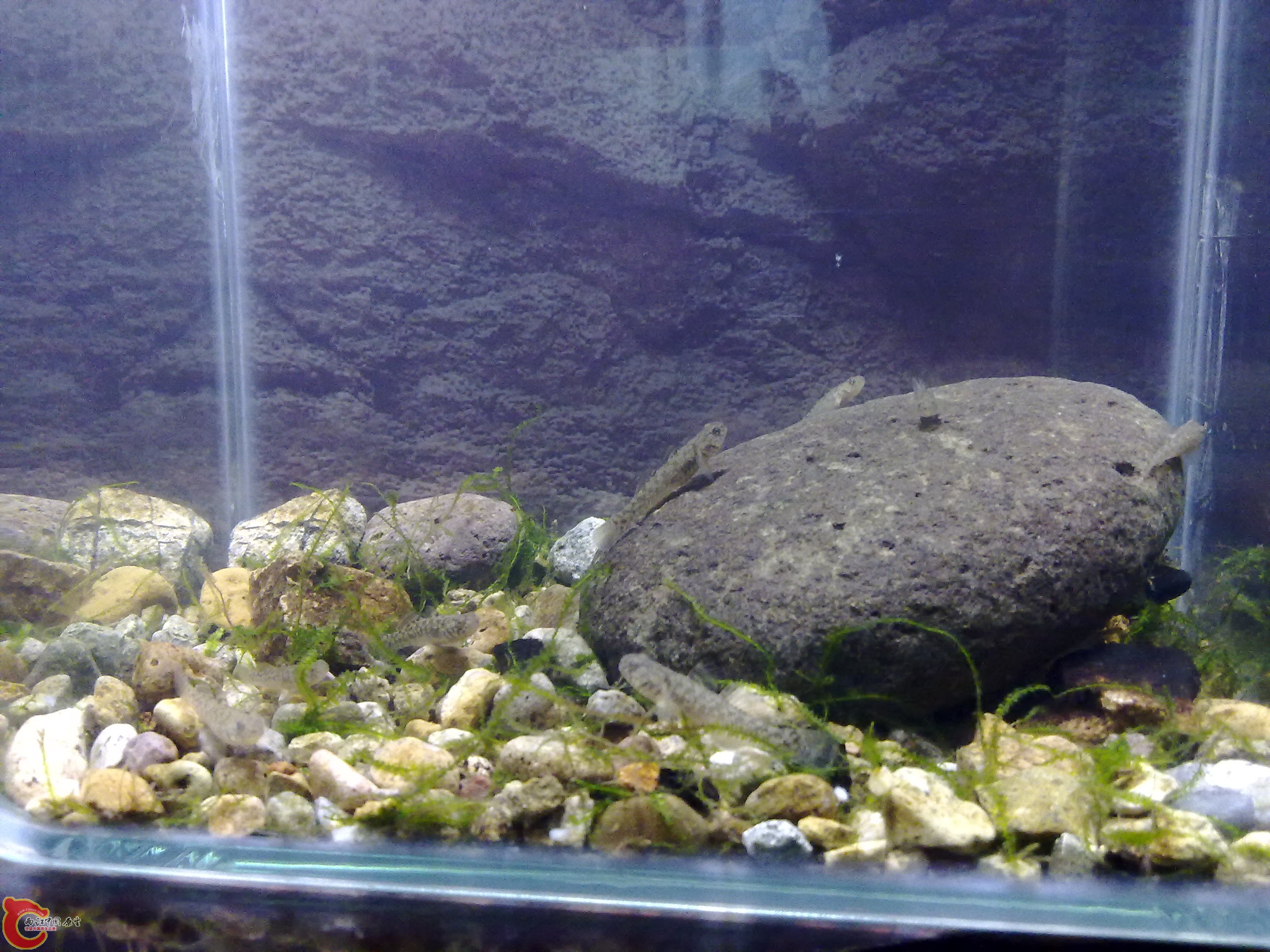 20110422130.jpg