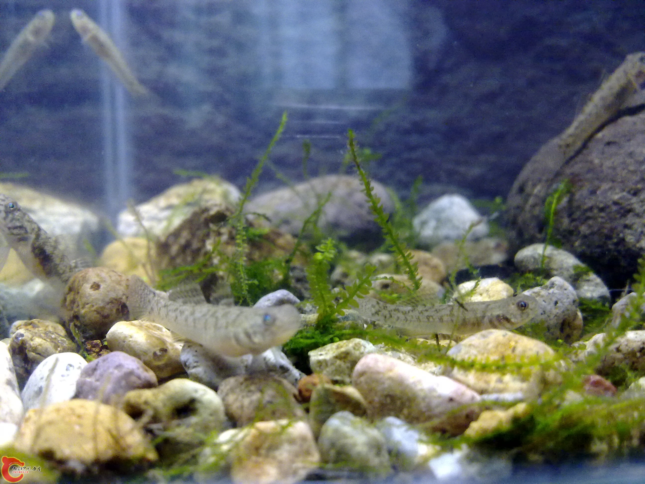 20110422131.jpg