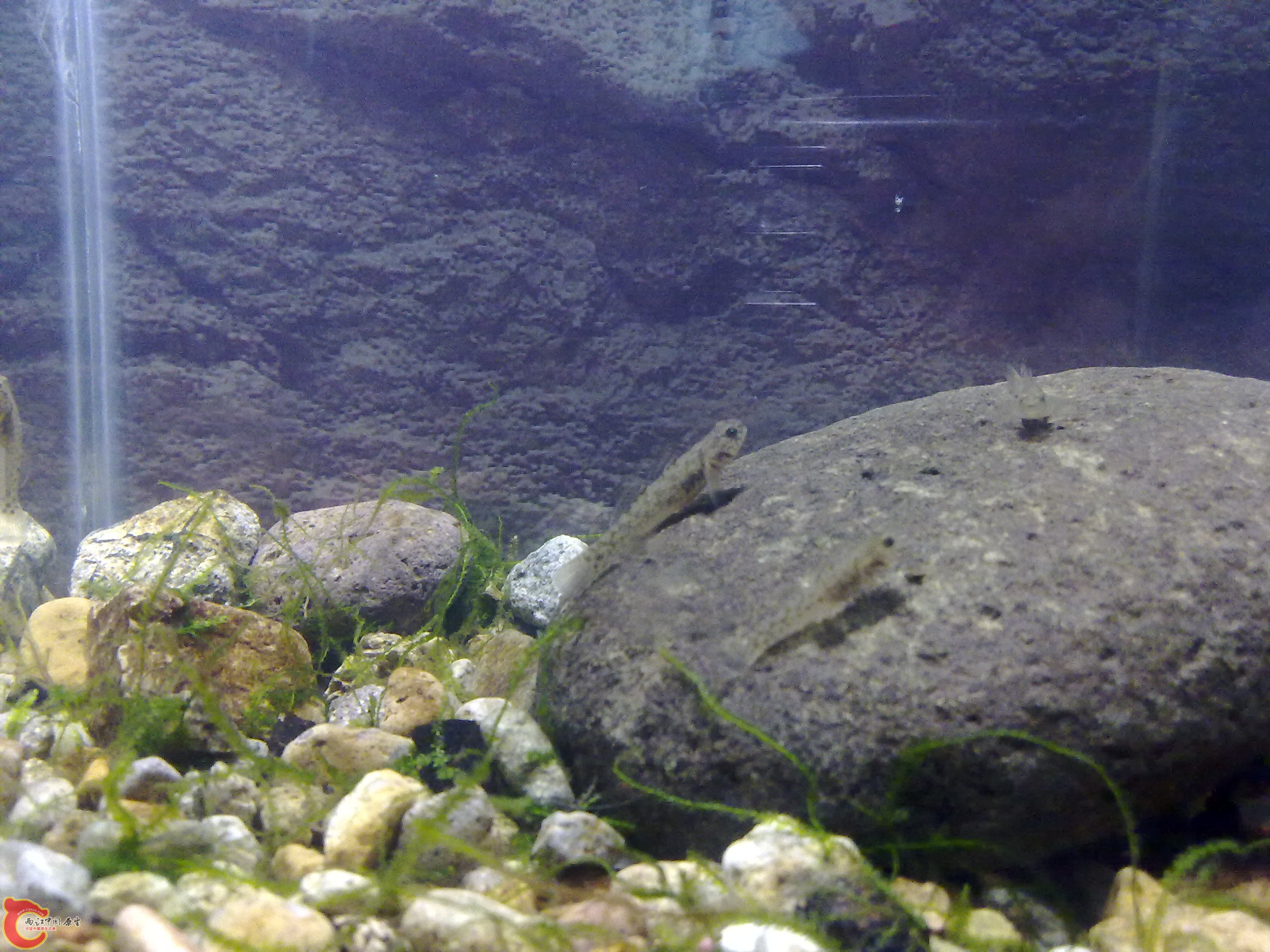 20110422133.jpg