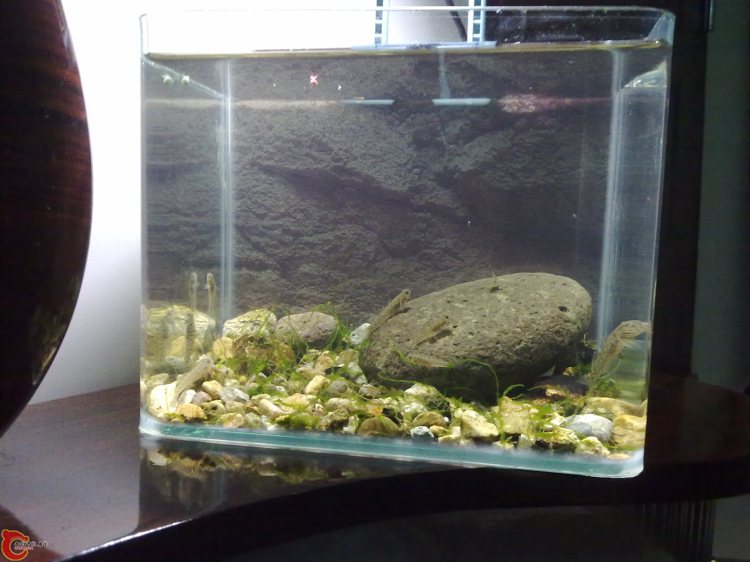 20110422134.jpg