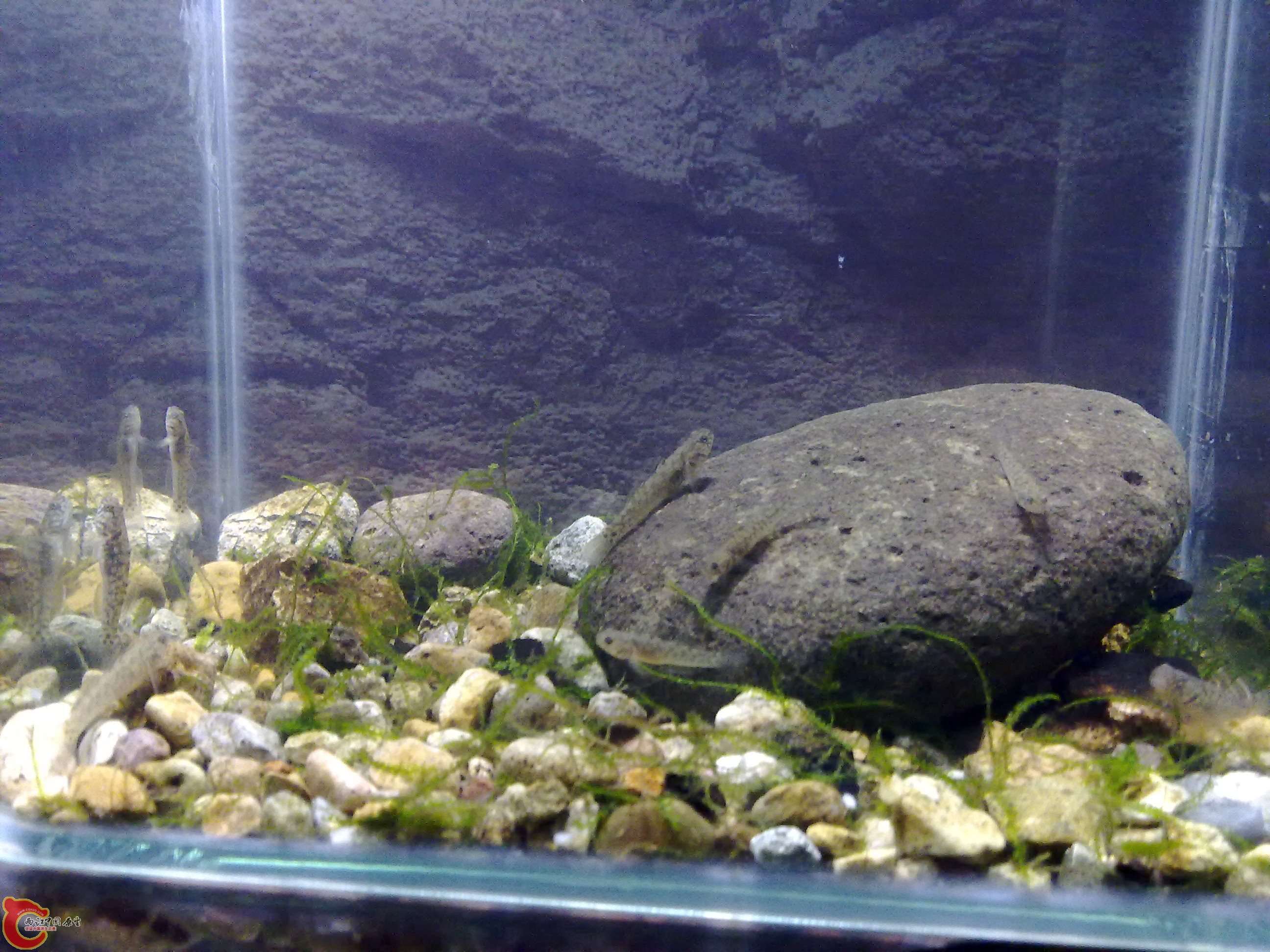 20110422135.jpg