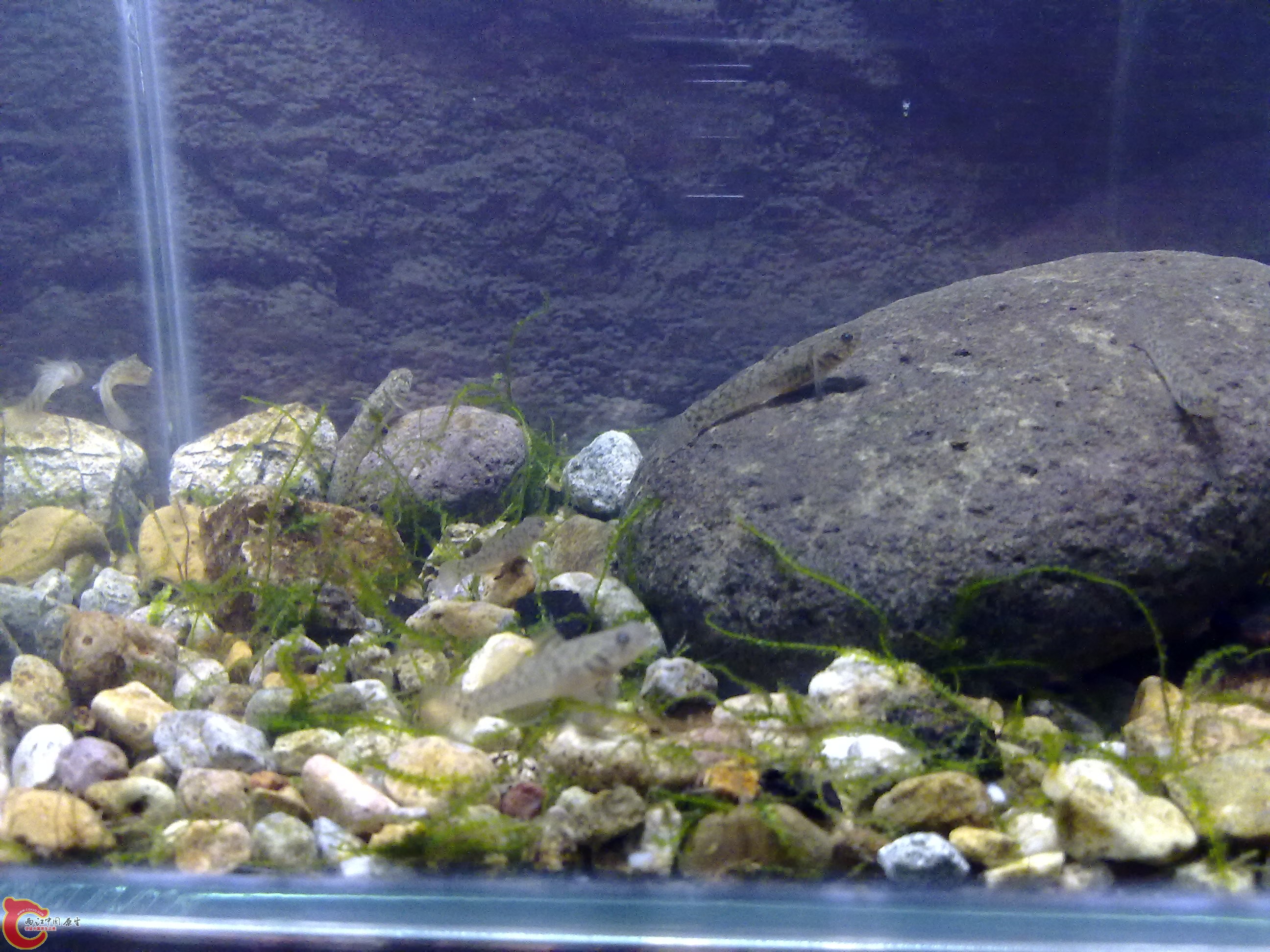 20110422137.jpg