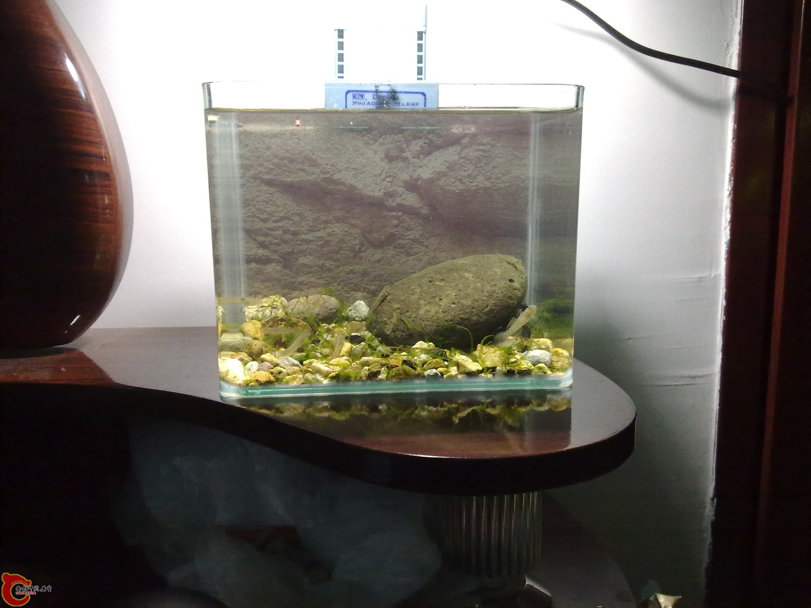 20110422150.jpg