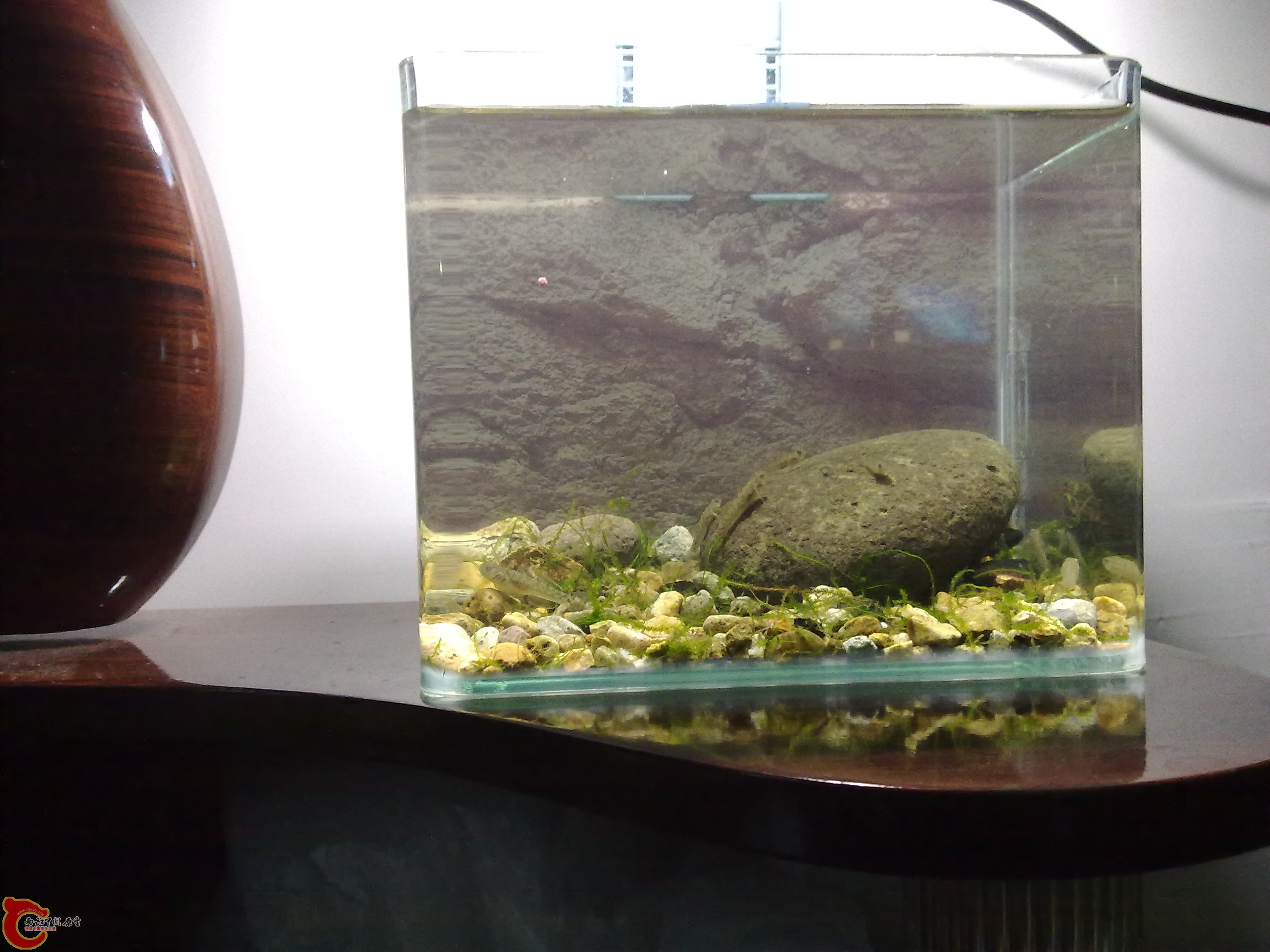 20110422157.jpg