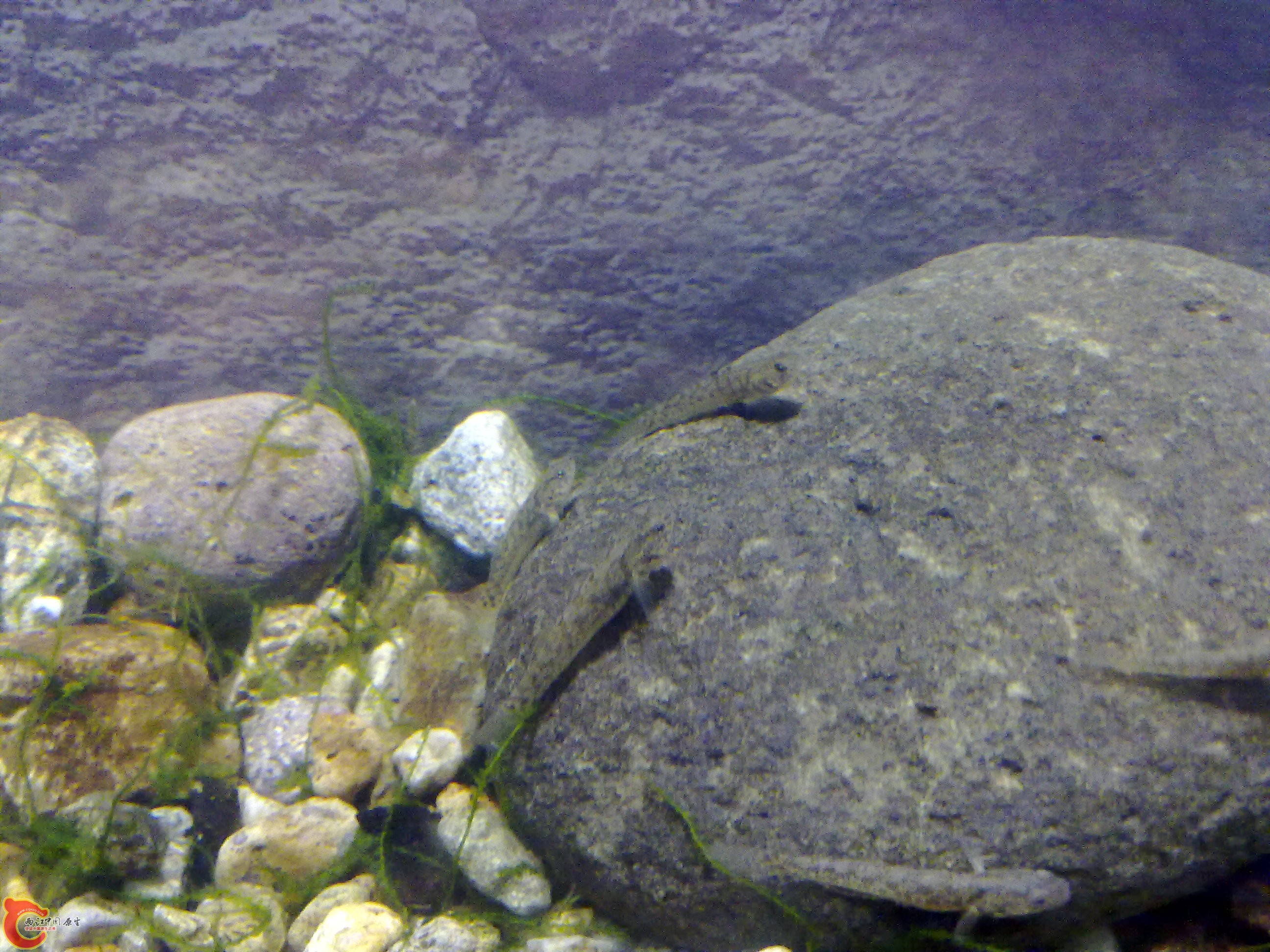 20110422160.jpg
