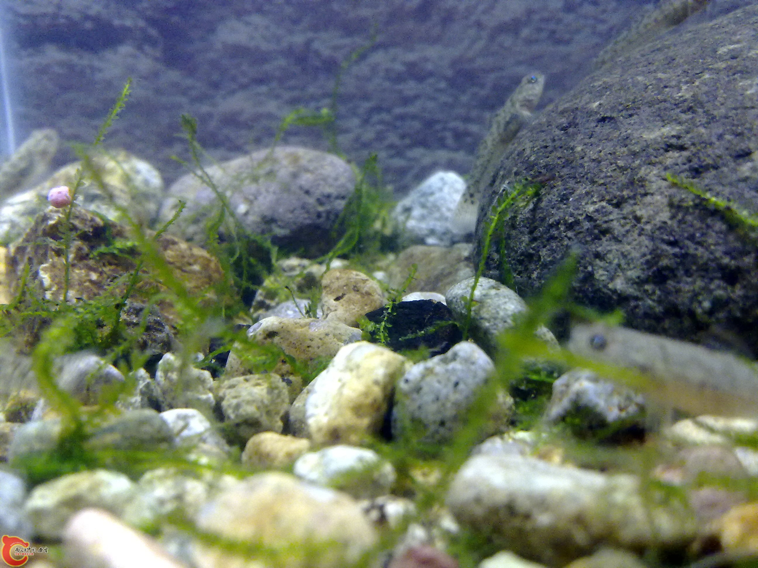 20110422161.jpg