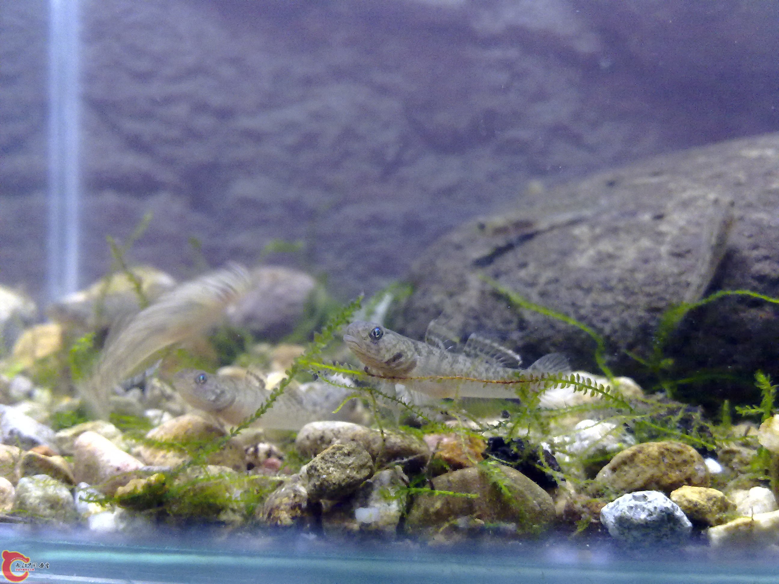 20110422153.jpg