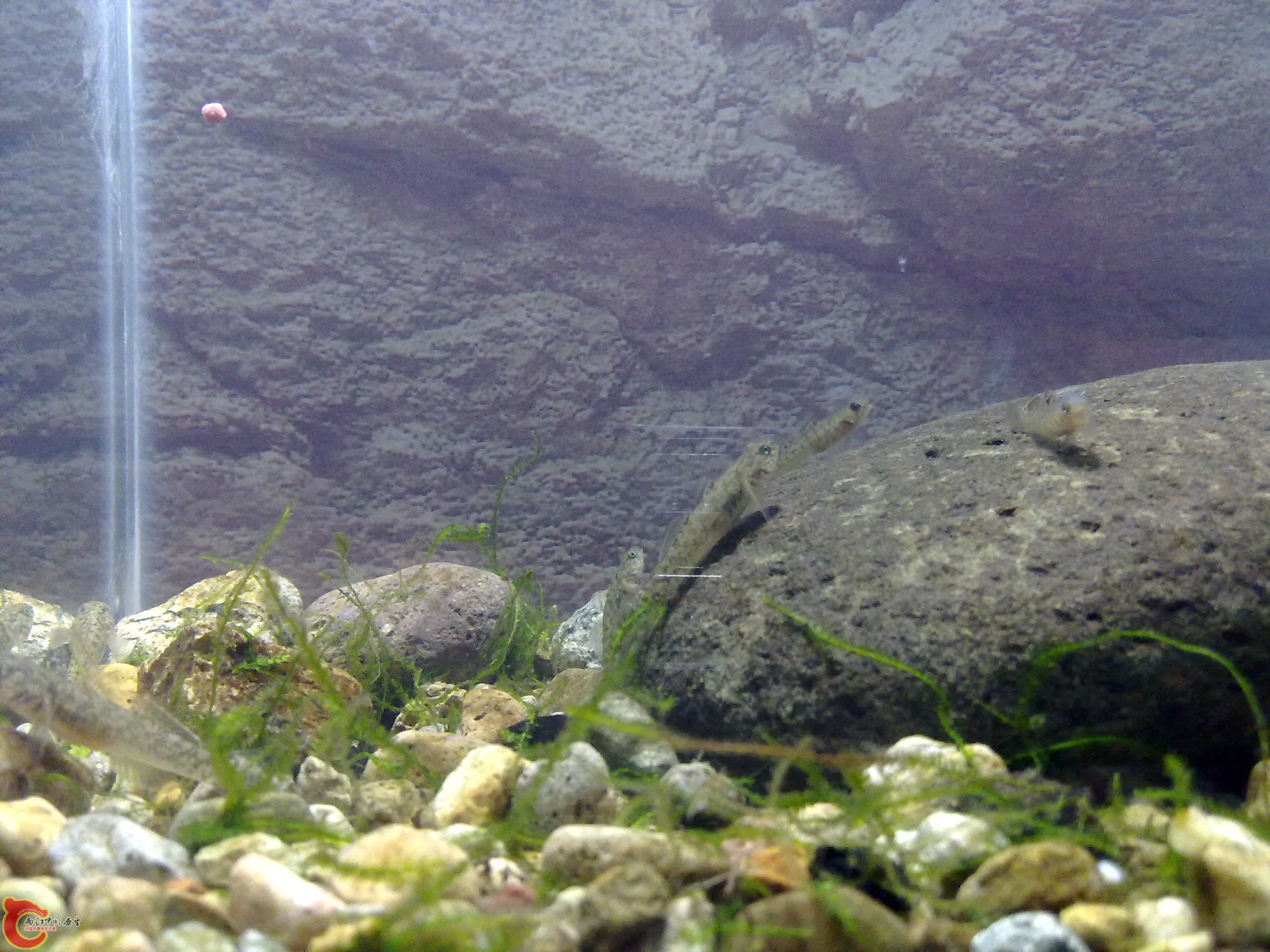 20110422158.jpg