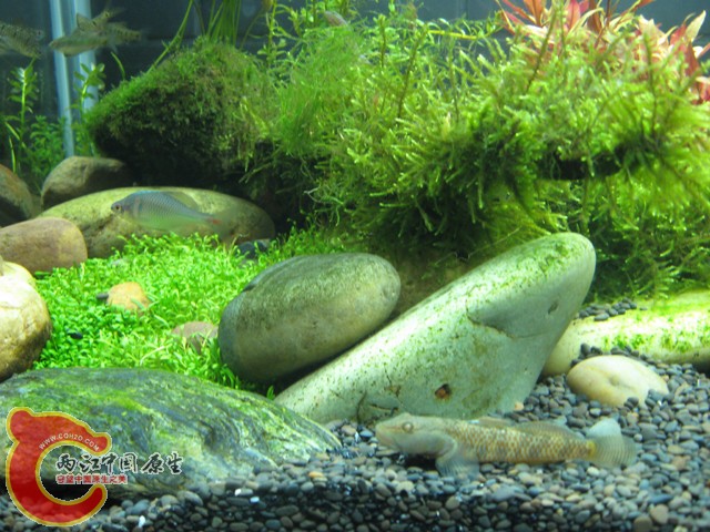 照片 012.jpg