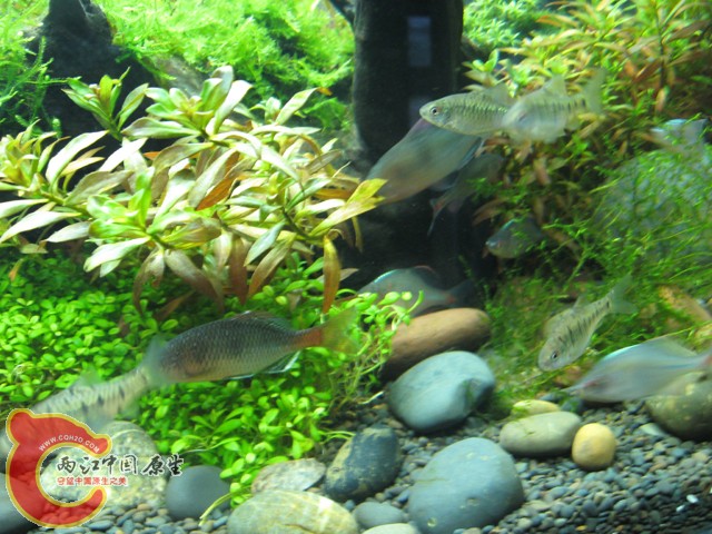 照片 043.jpg
