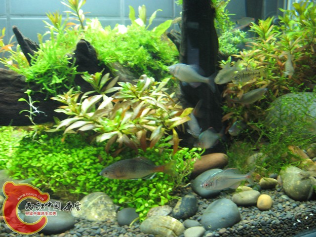 照片 044.jpg