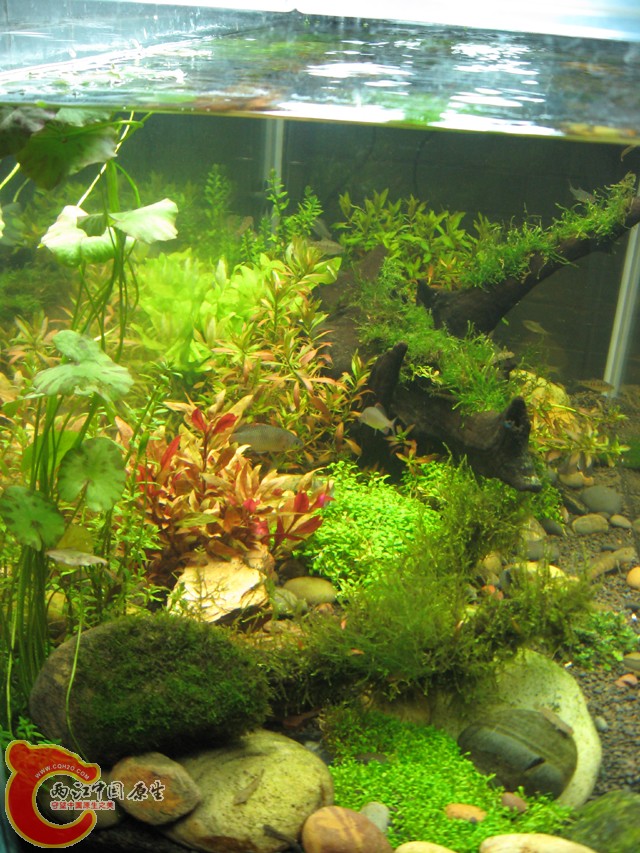 照片 057.jpg